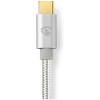 Apple Lightning-Kabel | Apple Lightning 8-Pins Male - USB-C | 2,00 m | Aluminium