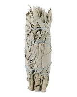 Ruben Robijn Saliebosje 14 cm 1 Stuks