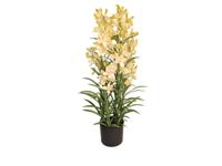 Cymbidium kunstplant 125 cm, groen - Buitengewoon de boet
