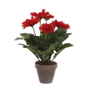 Mica Decorations Gerbera Kunstplant - H35 x Ø30 cm - Rood