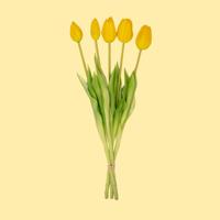 Tulpen boeket Geel - 5 stuks - 'Real Touch' Kunst tulpen - 42 cm (yellow) Tulpen boeket Geel - 5 stuks - 'Real Touch' Kunst tulpen - 42 cm (yellow)