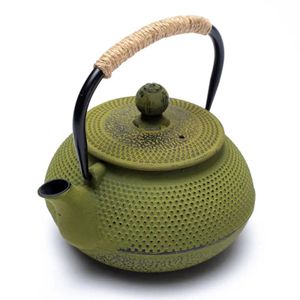 Japanse Stijl Tetsukyusu Groene Gietijzeren Theepot (600 ml)