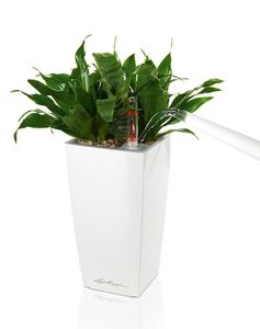 LECHUZA MINI-CUBI Binnen Plantenpot Vrijstaand Acrylonitrielbutadieenstyreen (ABS) Wit