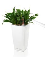 LECHUZA MINI-CUBI Binnen Plantenpot Vrijstaand Acrylonitrielbutadieenstyreen (ABS) Wit - thumbnail