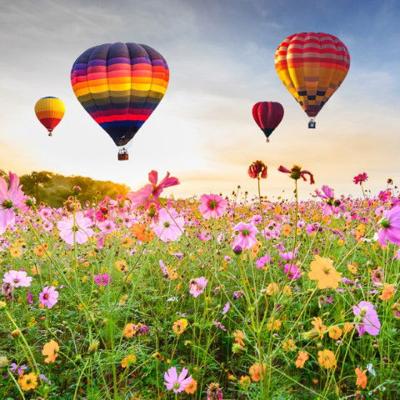 Buitencanvas luchtbalonnen 78x78cm - Annas collection