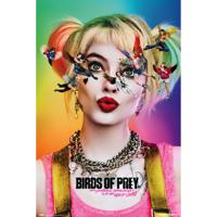 Poster Birds of Prey Dazed and Confused 61x91,5cm - thumbnail