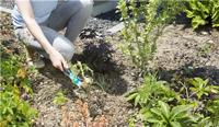 GARDENA Combisystem onkruidsteker - thumbnail