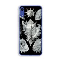 Haeckel Prosobranchia: Honor Play 8A Transparant Hoesje