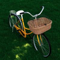 VidaXL Fietsstuurmand met deksel 50x45x35 cm natuurlijk wilgen VidaXL Fietsstuurmand met deksel 50x45x35 cm natuurlijk wilgen