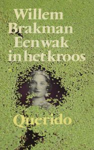 Een wak in het kroos - Willem Brakman - ebook