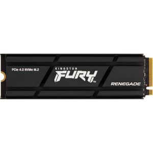 Kingston FURY Renegade met Heatsink 1 TB ssd SFYRSK/1000G, M.2 2280, PCIe 4.0 NVMe