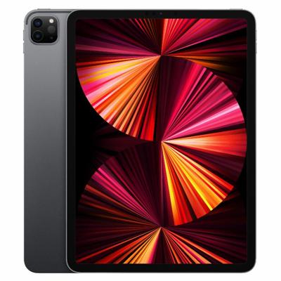 Refurbished iPad Pro 11 2021 128 GB Grijs Gebruikt