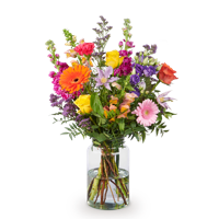 'Boeket Zico' kopen? | FOR YOU GIFTS