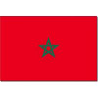 Vlag Marokko 90 x 150 cm feestartikelen