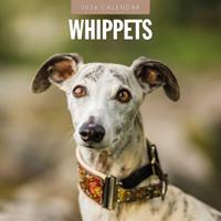 Whippet Kalender 2026