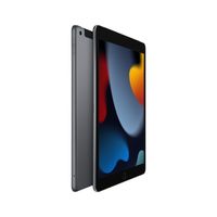 Apple iPad 4G LTE 256 GB 25,9 cm (10.2") Wi-Fi 5 (802.11ac) iPadOS 15 Grijs - thumbnail