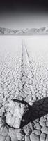 Kunstdruk Rod Edwards - The Race Track, USA 33x95cm