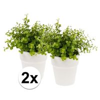 2x Kunstplant eucalyptus groen in witte pot 22 cm - thumbnail