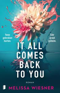 It All Comes Back To You - Melissa Wiesner - ebook