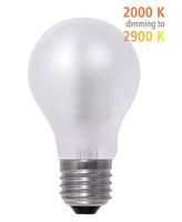 LED lamp Bulb mat dim to warm 8W 450 Lumen, Segula