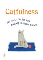 Catfulness - thumbnail