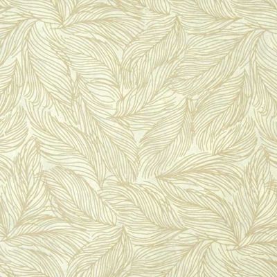Verpakkingspapier Veren Wit