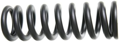 ROCKSHOX spring 600lb 240x76 gr