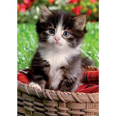 Wenskaarten blanco div pak a 10 stuks Wenskaarten blanco div pak a 10 stuks