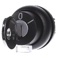 M22S-WRS  - Key actuator black M22S-WRS