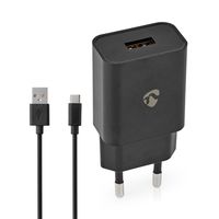 Thuislader | 2,4 A | Losse Kabel | USB-C | Zwart