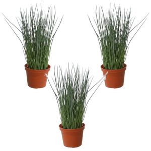 Set van 3x stuks groene grasplant Pennisetum kunstplanten in bruine kunststof pot 29 cm