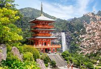Castorland puzzel Seiganto-ji-tempel - 1000 stukjes - thumbnail