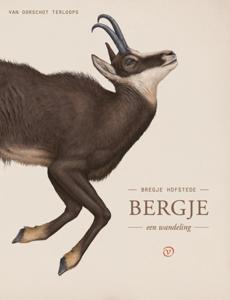 Bergje (Paperback)