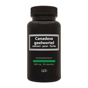 Apb Holland Canadese geelwortel 480mg puur