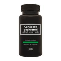 Apb Holland Canadese geelwortel 480mg puur