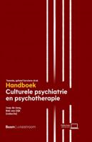 Handboek culturele psychiatrie en psychotherapie (Paperback)