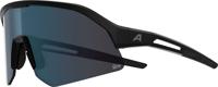 Alpina sonic hr m q-lite - sports glasses