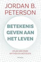 Betekenis geven aan het leven (Paperback)