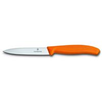 Victorinox SwissClassic 6.7706 Roestvrijstaal Schilmes