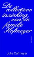 De collectieve inzinking van de familie Hofmeyer (Paperback)