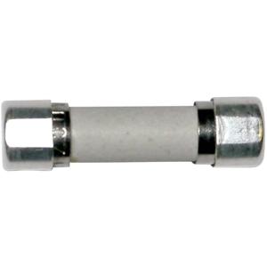 ESKA 8522721 8522721 Buiszekering (Ø x l) 5 mm x 20 mm 2.5 A 250 V Traag -T- Inhoud 1 stuk(s)