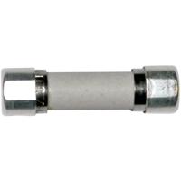 ESKA 8522723 8522723 Buiszekering (Ø x l) 5 mm x 20 mm 4 A 250 V Traag -T- Inhoud 1 stuk(s)