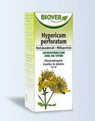 Hypericum perforatum bio