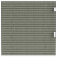Leen Bakker - Fenstr Plisségordijn Edinburgh Enkel 20mm Transparant - (50204) - Polyester - Groen - 120x10x10 Cm