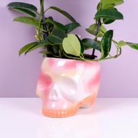 Skull plant pot - pink gradient