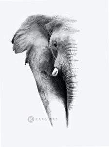 Karo-art Afbeelding op acrylglas - Olifant op witte achtergrond
