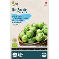 Buzzy - Organic Spruitkool Doric F1 (BIO) - thumbnail