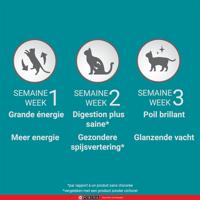 Purina 12297645 droogvoer voor kat 800 g Volwassen Kattenkruid - thumbnail