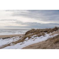 Inductiebeschermer - Frozen Beach - 95x50 cm