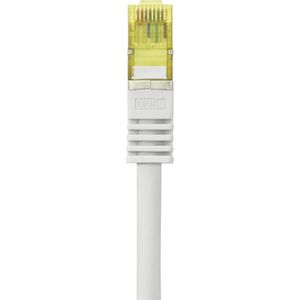 Renkforce RF-4149858 RJ45 Netwerkkabel, patchkabel CAT 6a (losse kabel CAT 7) S/FTP 0.25 m Grijs Snagless, Vlambestendig 1 stuk(s)